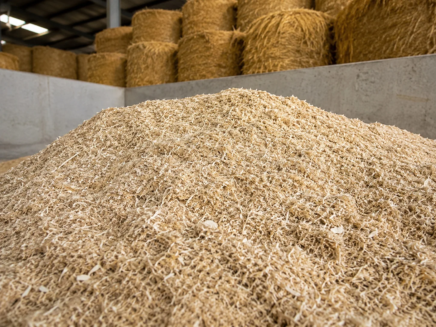 Processed biomass animal bedding
