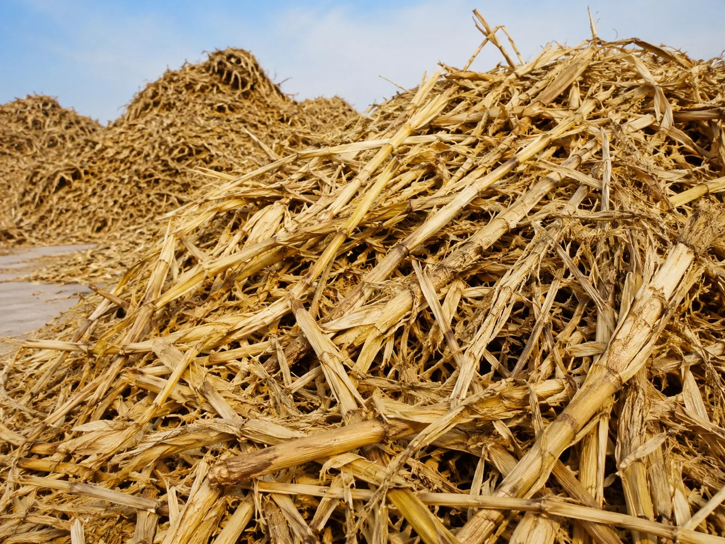 Corn stalks for biomass recycling