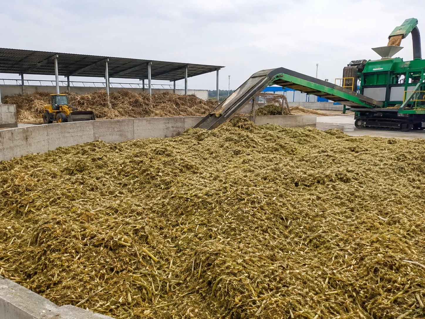 Corn stalk processing project