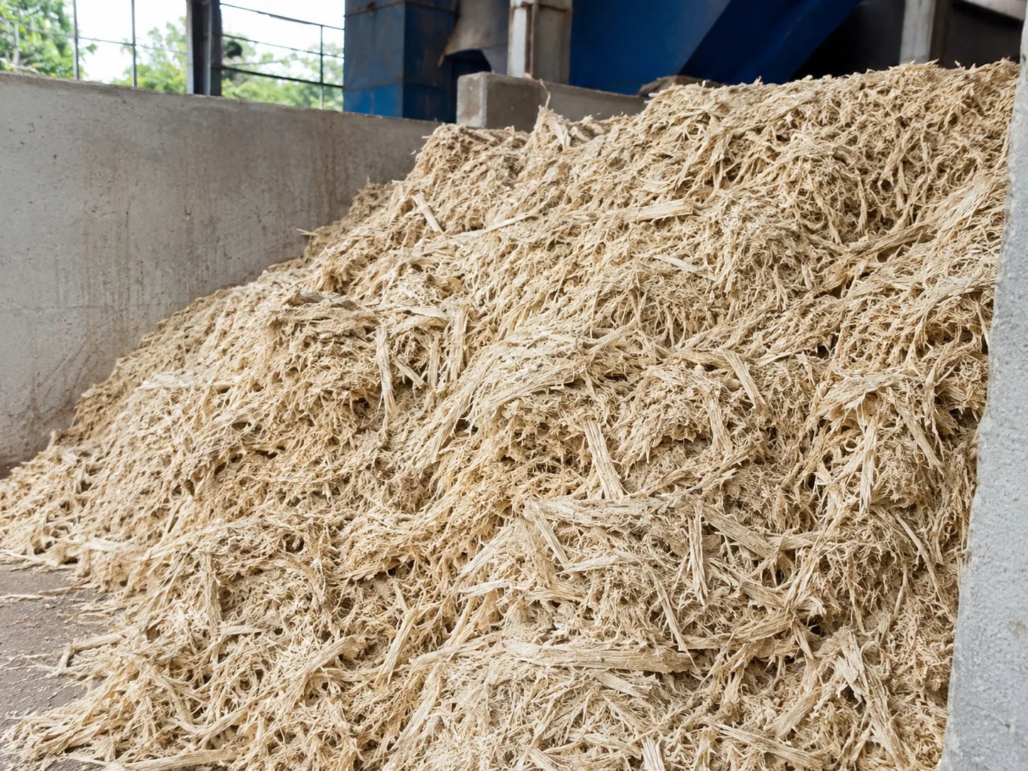 Sugarcane bagasse fiber