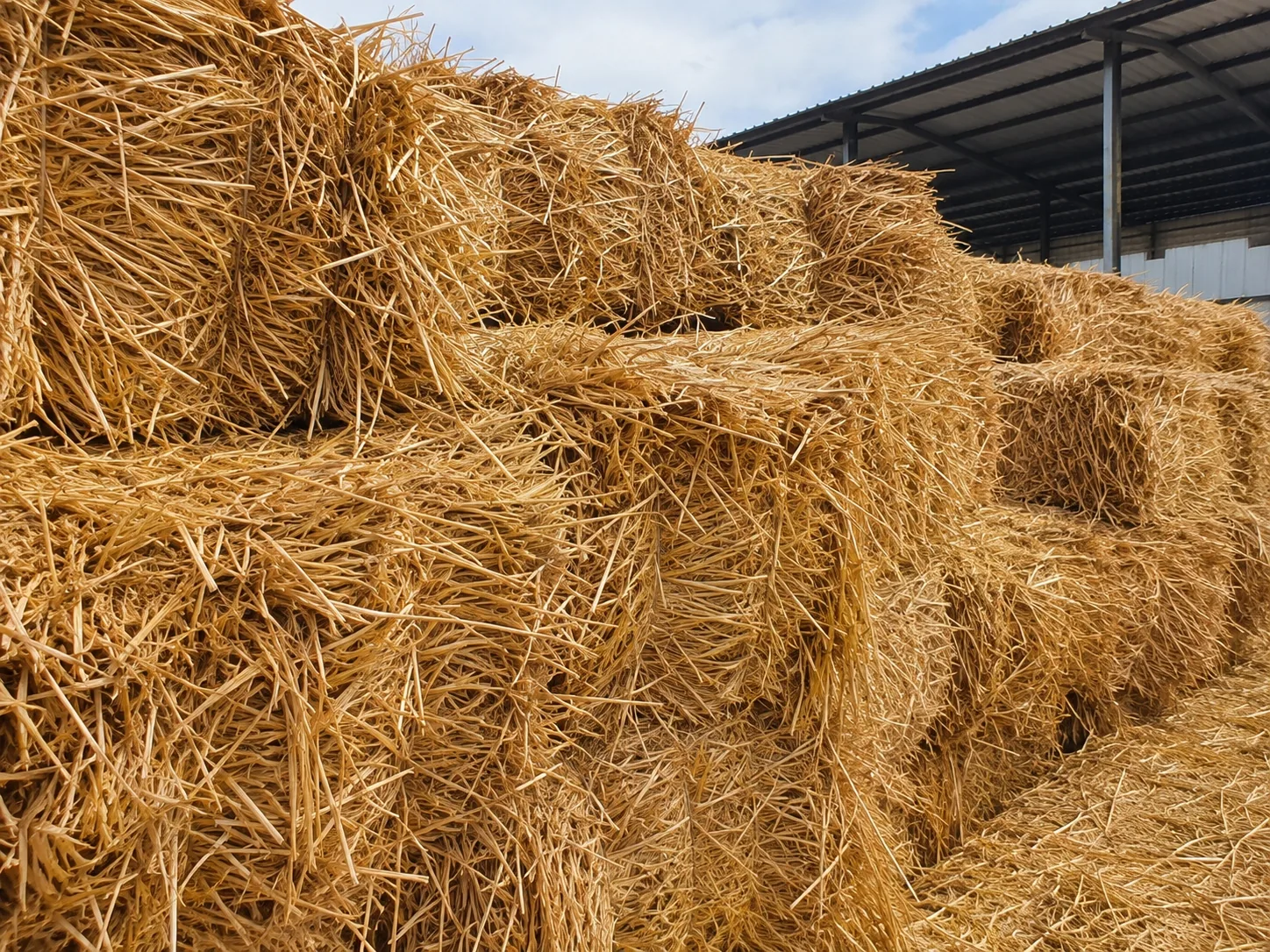 Wheat straw bales